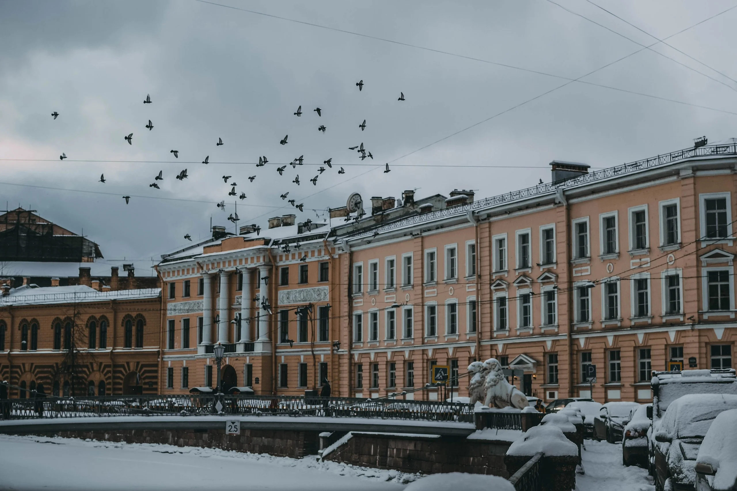 Фото: 34travel.me Зима в Питере