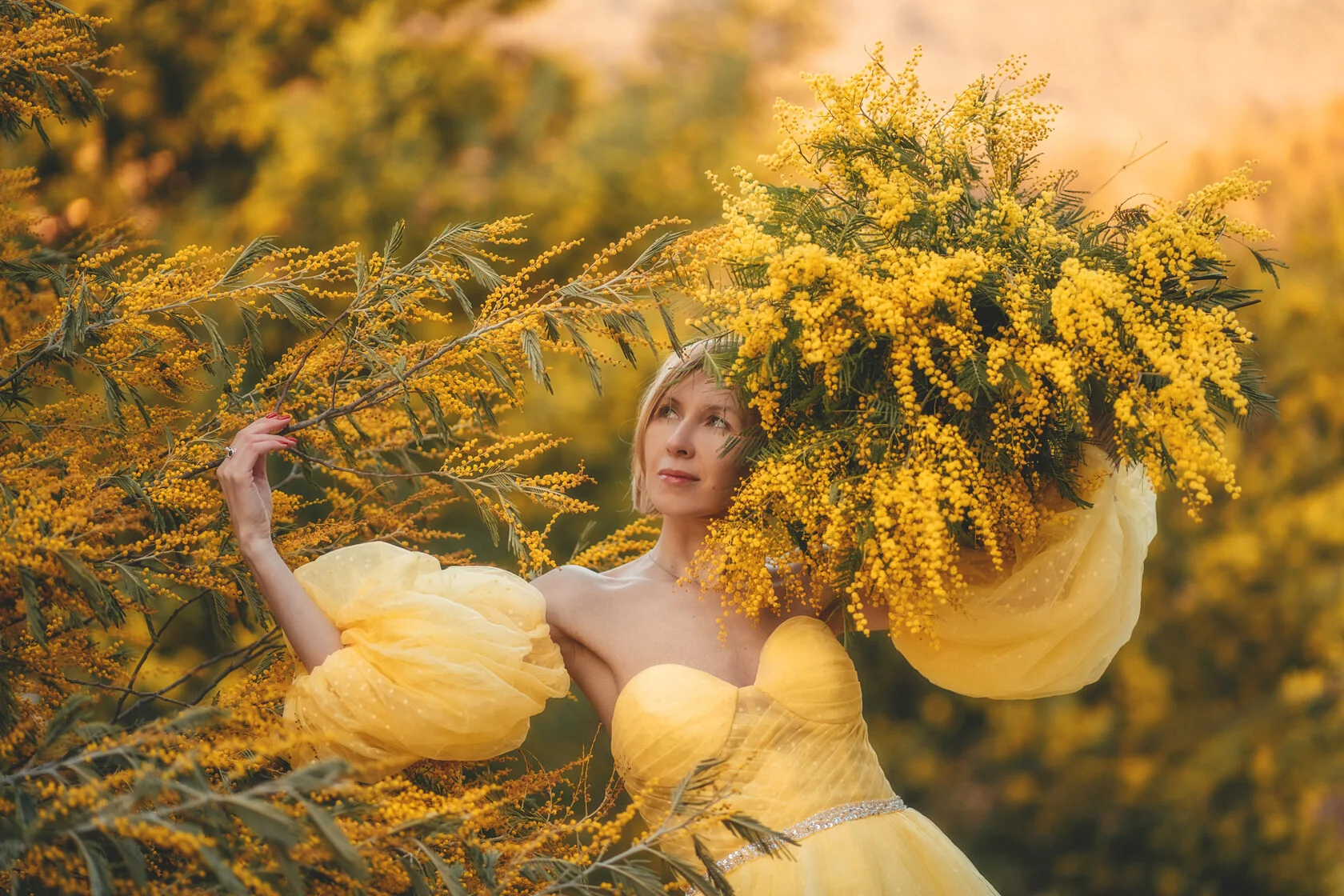 Фото: whitepicnic.ru Цветение мимозы в Абхазии
