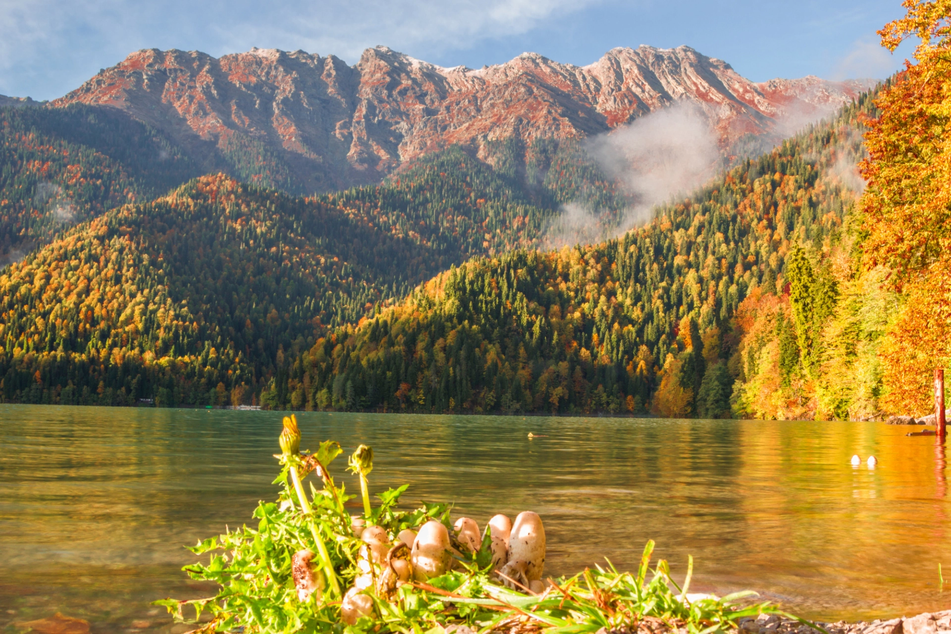 Выбираем лучшее время для отдыха в Абхазии: погода на курортах по месяцам