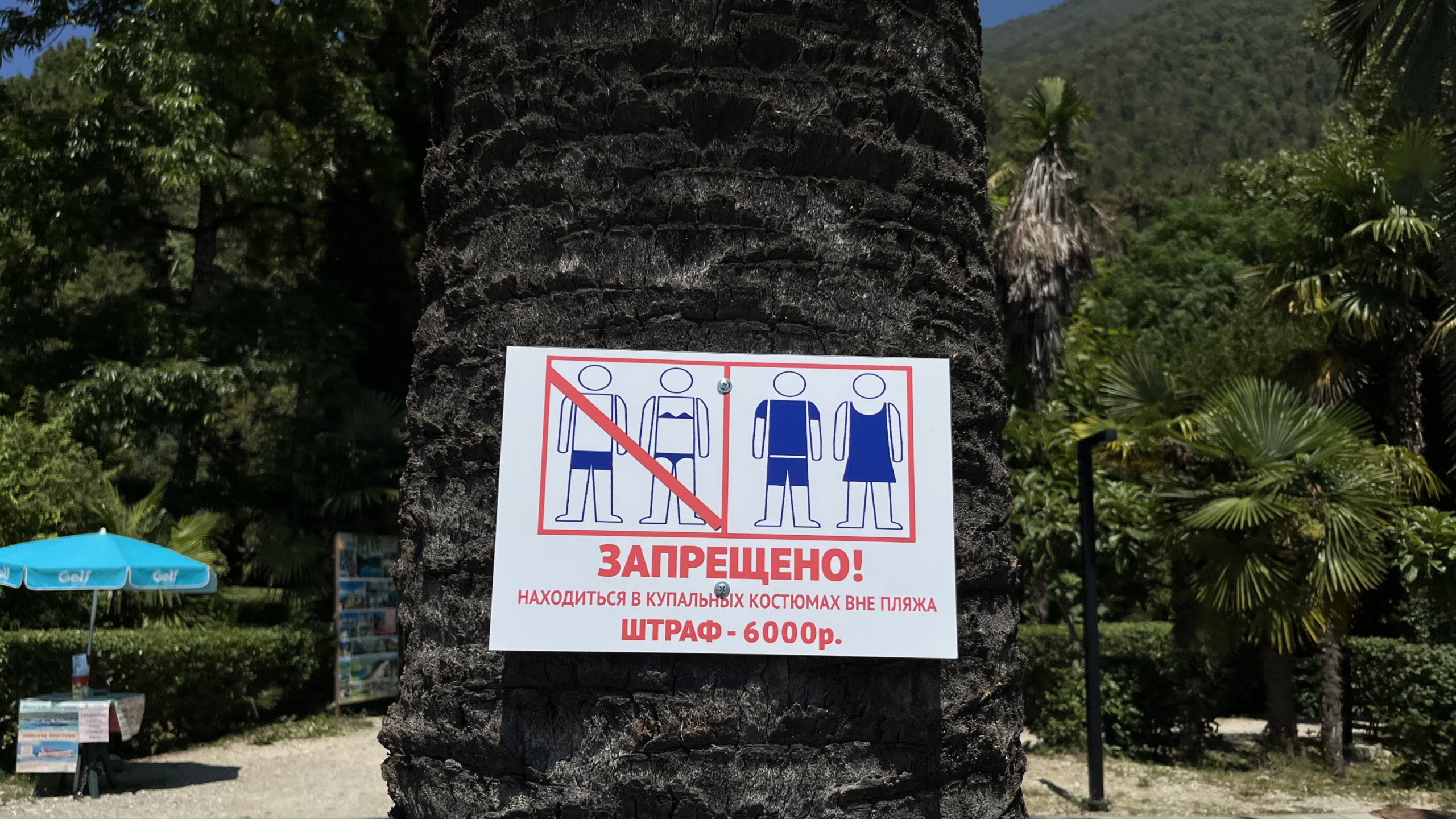 Правила поведения на пляже и в общественных местах в Абхазии
